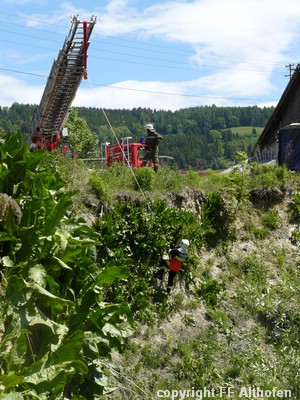 P1000175.JPG
