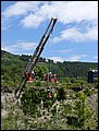 P1000201.JPG
