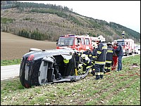 t14.JPG