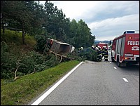t5.jpg