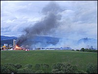 z1.jpg