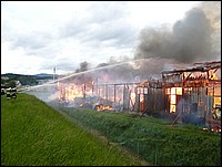 z7.JPG