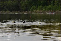 DSC_0052.JPG