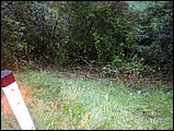 PA100031.JPG