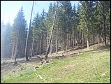 20120501_140543.jpg