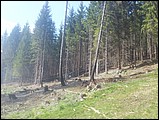 20120501_140621.jpg